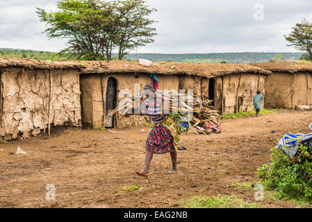 Donna africana dalle tribù Masai portando un mazzo di legno nel suo villaggio Foto Stock