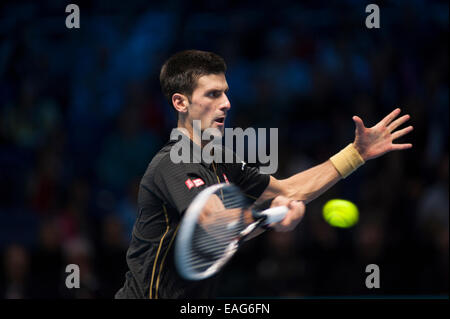 O2 Arena, Londra, Regno Unito. 14 Novembre, 2014. Barclays ATP round robin corrispondono, giocatori singoli Novak Djokovic (SRB) vs Tomas BERDYCH (CZE). Credito: Malcolm Park editoriale/Alamy Live News Foto Stock