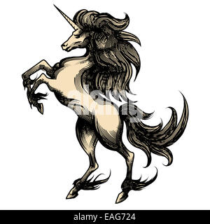Araldica unicorn disegnati in stile di incisione Foto Stock