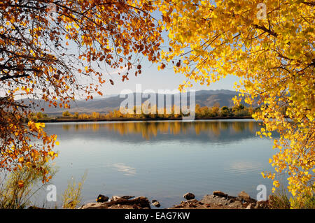 I colori autunnali a Coot Lake, vicino a Boulder serbatoio con vedute distanti del Front Range. Foto Stock