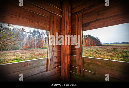 Interno della Torre di caccia nella stagione autunnale. Foto Stock