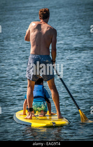 Questo ragazzino ottiene un giro libero da suo padre sulla sua scheda Paddle, come papà fa tutto il lavoro paddling. Foto Stock