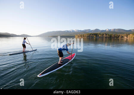 Un accoppiamento a maschio e femmina di stand up paddle board (SUP) al tramonto sul Lago di coregone in coregoni, Montana. Foto Stock