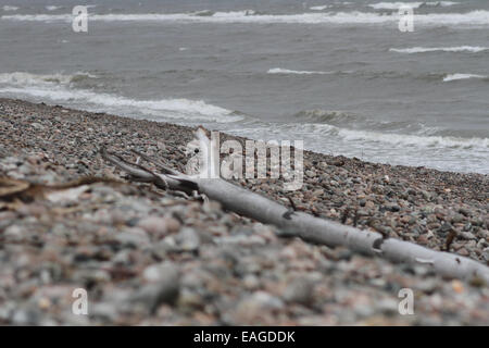 Linea di costa lungo la Cabot Trail in Cape Breton, Nova Scotia. Foto Stock