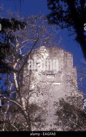 Glifo sul retro del pettine del tetto del tempio II o il Tempio delle Maschere presso le rovine maya di Tikal, El Petén, Guatemala Foto Stock