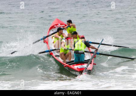 Sydney, Australia. 15 Novembre, 2014. L'Oceano serie Thunder è stato sviluppato appositamente per la televisione e include 24 elite squadre maschili e 12 elite womens squadre da sydney locale surf club, la concorrenza è in corso presso Dee Why beach Sydney Australia,collaroy mens team in azione Credit: martin berry/Alamy Live News Foto Stock