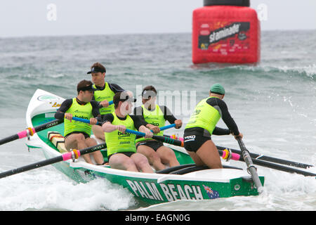 Sydney, Australia. 15 Novembre, 2014. L'Oceano serie Thunder è stato sviluppato appositamente per la televisione e include 24 elite squadre maschili e 12 elite womens squadre da sydney locale surf club, la concorrenza è in corso presso Dee Why beach Sydney Australia,palm beach team mens Credito: martin berry/Alamy Live News Foto Stock