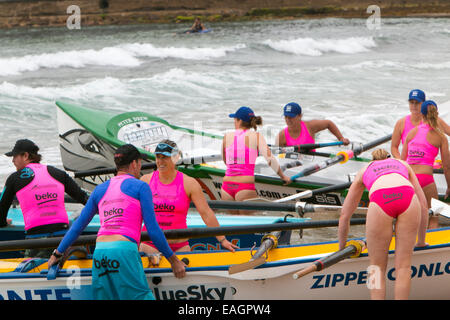 Sydney, Australia. 15 Novembre, 2014. L'Oceano serie Thunder è stato sviluppato appositamente per la televisione e include 24 elite squadre maschili e 12 elite womens squadre da sydney locale surf club, la concorrenza è in corso presso Dee Why beach Sydney Australia Credit: martin berry/Alamy Live News Foto Stock