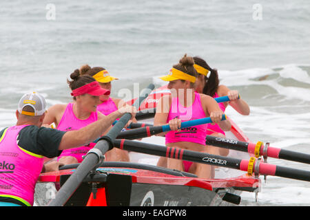 Sydney, Australia. 15 Novembre, 2014. L'Oceano serie Thunder è stato sviluppato appositamente per la televisione e include 24 elite squadre maschili e 12 elite womens squadre da sydney locale surf club, la concorrenza è in corso presso Dee Why beach Sydney Australia, Collaroy beach womens team Credit: martin berry/Alamy Live News Foto Stock