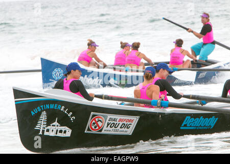 Sydney, Australia. 15 Novembre, 2014. L'Oceano serie Thunder è stato sviluppato appositamente per la televisione e include 24 elite squadre maschili e 12 elite womens squadre da sydney locale surf club, la concorrenza è in corso presso Dee Why beach Sydney Australia Credit: martin berry/Alamy Live News Foto Stock