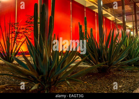 Streetscapes urbano ed edifici in Phoenix, Arizona Foto Stock