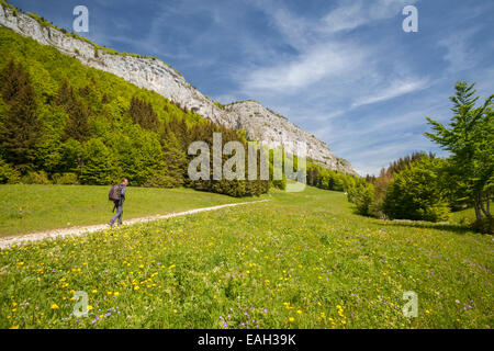 Mont Outheran e Col du Mollard, Entremon le Vieux, naturale Parc De La Chartreuse, Savoie, Rhône-Alpes, in Francia Foto Stock