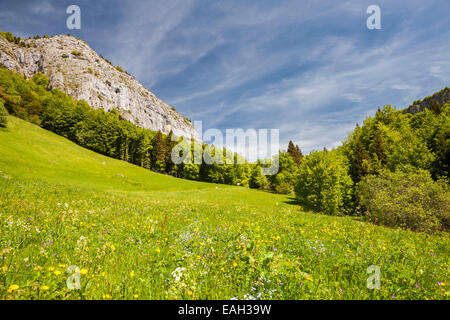 Mont Outheran e Col du Mollard, Entremon le Vieux, naturale Parc De La Chartreuse, Savoie, Rhône-Alpes, in Francia Foto Stock