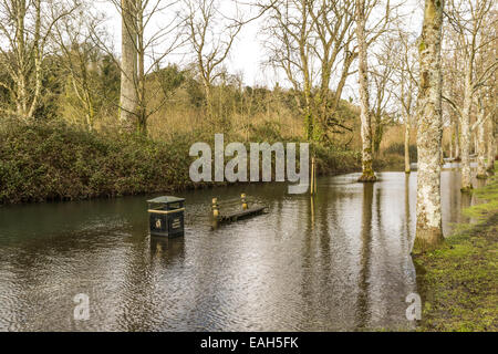 Inverno di tempeste e inondazioni influiscono Arundel in West Sussex. Foto Stock