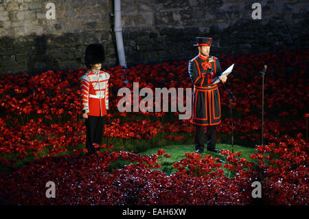 Torre di Londra Yeoman Warder leggendo il Rotolo di onore a fianco di un bugler che suonerà l'Ultimo Post tra i papaveri di ceramica dell'arte di installazione sangue spazzata di terre e mari di rosso in commemorazione della prima guerra mondiale centenario Ottobre 17, 2014 a Londra. Il fossato asciutto della Torre di Londra è stata riempita con ceramica 888,246 papaveri, uno per ciascun British and colonial fatalità durante la guerra. Foto Stock