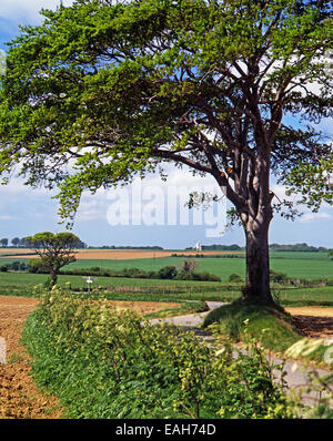 Mulino a vento in orizzontale Foto Stock