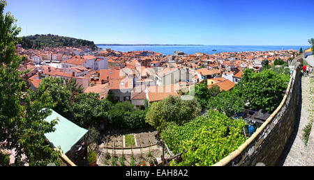 Pittoresca vista panoramica di pirano città vecchia, costa adriatica, Slovenia Foto Stock