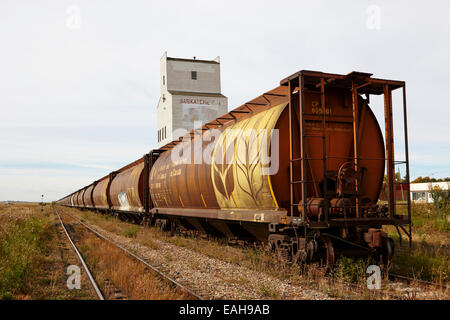 Trasporto merci carrelli granella su ex Canadian Pacific railway ora grande sandhills ferrovia attraverso il leader del Saskatchewan, Canada Foto Stock