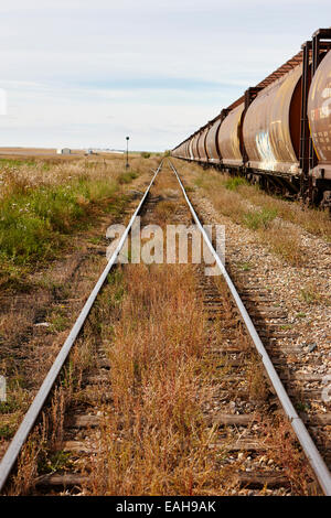 Trasporto merci carrelli granella su ex Canadian Pacific railway ora grande sandhills ferrovia attraverso il leader del Saskatchewan, Canada Foto Stock