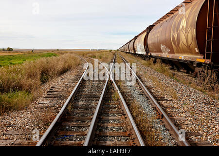 Trasporto merci carrelli granella su ex Canadian Pacific railway ora grande sandhills ferrovia attraverso il leader del Saskatchewan, Canada Foto Stock