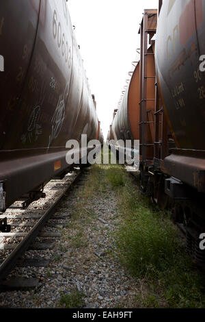 Trasporto merci carrelli granella su ex Canadian Pacific railway ora grande sandhills ferrovia attraverso il leader del Saskatchewan, Canada Foto Stock