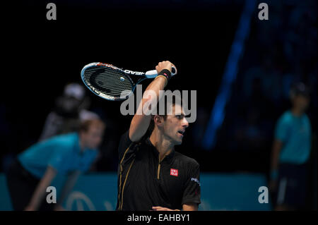 O2 Arena, Londra, Regno Unito. 15 Novembre, 2014. Barclays ATP semifinali match, giocatori singoli Novak Djokovic (SRB) vs Kei NISHIKORI (JPN). Credito: Malcolm Park editoriale/Alamy Live News Foto Stock