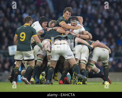 Londra, Middlesex, Regno Unito. Xv Nov, 2014. Novembre 15, 2014 del Sudafrica bloccare EBEN ETZEBETH ottiene una impugnatura di Inghilterra il flanker TOM LEGNO durante l'Inghilterra -V- Sud Africa corrispondono a Twickenham Stadium: Steve Flynn-ZUMA Premere Credito: Steve Flynn/ZUMA filo/Alamy Live News Foto Stock