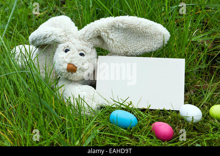 Coniglietto di pasqua con le uova di pasqua in un nido Foto Stock