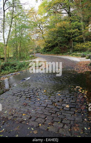 Guado sottaceti beck a dales modo in wharfedate a Bolton Abbey, Skipton, North Yorkshire, Inghilterra Foto Stock