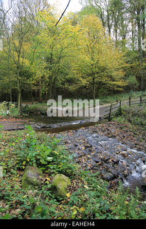 Guado sottaceti beck a dales modo in wharfedate a Bolton Abbey, Skipton, North Yorkshire, Inghilterra Foto Stock