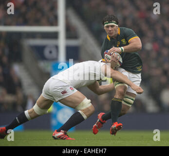 Londra, UK, UK. Xv Nov, 2014. Sud Africa il flanker MARCELL COETZEE rigidi presso l'Inghilterra difesa durante l'Inghilterra vs Sud Africa corrispondono a Twickenham Stadium. Il Sud Africa ha vinto la partita 31-28. © Steve Flynn/ZUMA filo/Alamy Live News Foto Stock