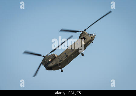Fairford, Regno Unito - 12 Luglio 2014: Un RAF elicottero Chinook visualizzazione presso il Royal International Air Tattoo. Foto Stock