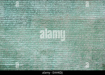 Green nylon mesh texture, astratto modello reale Foto Stock