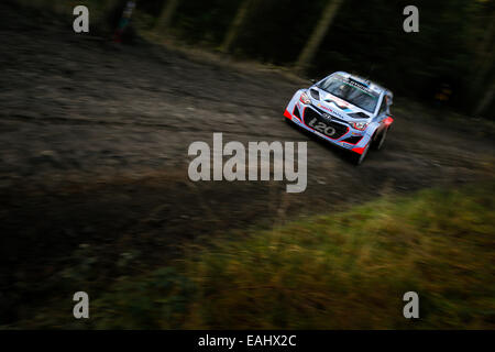 Clocaenog, Galles. Xv Nov, 2014. FIA World Rally Championship, Rally Galles GB. Juho Hanninen e Tomi Tuominen di Finlandia competere con la Hyundai Motorsport i20 WRC durante il Clocaenog Oriente 2 tappa del giorno 3. Credito: Azione Sport Plus/Alamy Live News Foto Stock