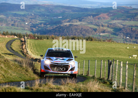 Clocaenog, Galles. Xv Nov, 2014. FIA World Rally Championship, Rally Galles GB. J.Hanninen (FIN) e TuominenTomi ( FIN)- Hyundai i20 WRC Credito: Azione Sport Plus/Alamy Live News Foto Stock