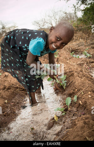 Una ragazza il trapianto di piantine sulla sua famiglia vegetale della fattoria nella contea Makueni, Kenya, Africa orientale. Foto Stock