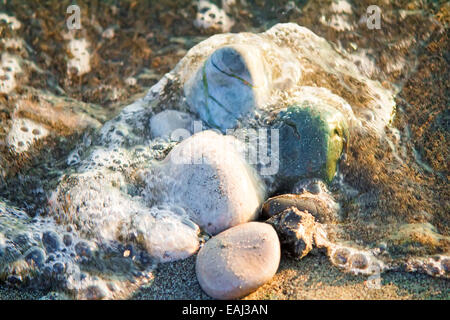 Piccolo multi-colore pietre di mare sulla spiaggia, coperto con trasparente di acqua di mare. Foto Stock