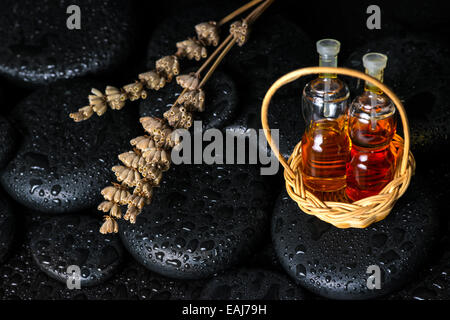 Centro termale aromatico concetto di bottiglie di olio essenziale nel cestello e lavanda essiccata su nero zen pietre di basalto di rugiada Foto Stock