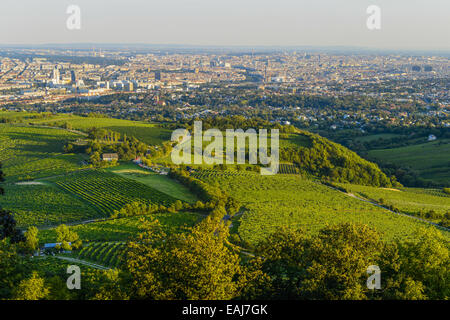 Wien, vista dalla montagna Kahlenberg, Vienna, Austria, Europa Centrale, 19. distretto, Kahlenberg Foto Stock