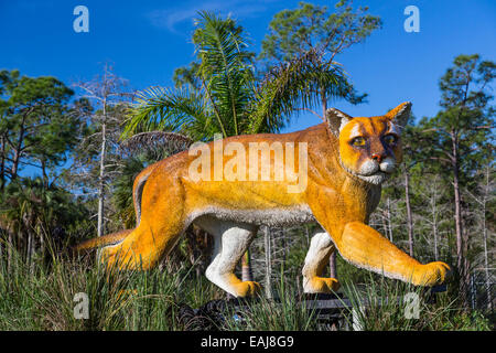 Un modello della Florida panther in un Everglades Park, Florida, Stati Uniti d'America. Foto Stock
