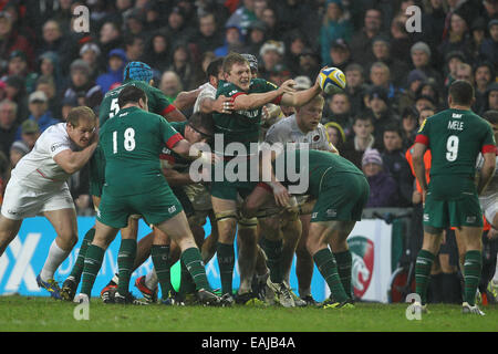 Leicester, Regno Unito. Xvi Nov, 2014. Aviva Premiership. Leicester Tigers contro i Saraceni. Leicester Jamie Gibson lavorando duro in allentato. Credito: Azione Sport Plus/Alamy Live News Foto Stock