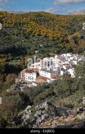 Il villaggio di Igualeja circondato da boschi di castagno Serrania de Ronda, Spagna meridionale. Foto Stock