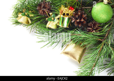 Fresca pineta naturale con i coni e il decor isolato su sfondo bianco Foto Stock