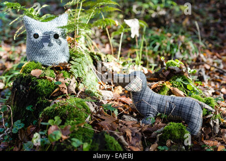 Peluche cane è a caccia di un gufo nella foresta di autunno Foto Stock