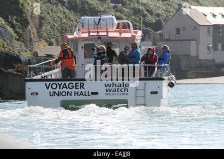 Nic Slocum la nave 'Voyager' su un whale watching e visite turistiche viaggio entrando nel porto di Cape Clear West Cork in Irlanda. Foto Stock