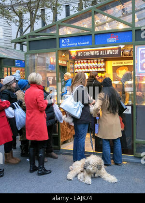 Holiday negozi presso la Bank of America inverno villaggio al Bryant Park di New York Foto Stock