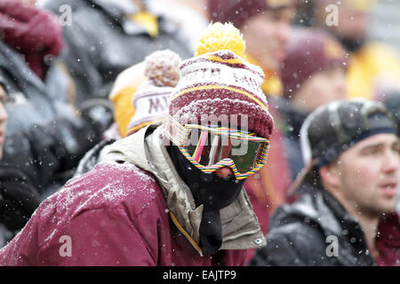 Minneapolis, Minn. Xv Nov, 2014. Minnesota i Gopher fan sono stati raggruppati in un pomeriggio freddo durante il NCAA Football gioco tra le Università del Minnesota i Gopher e la Ohio State Buckeyes a TCF Bank Stadium di Minneapolis, Minn. Ohio State sconfitto Minnesota 31 - 24. © csm/Alamy Live News Foto Stock