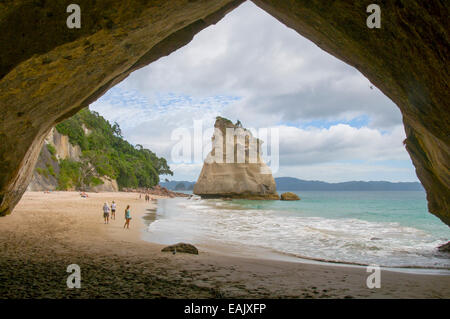 Cove della cattedrale, Penisola di Coromandel, Isola del nord, Nuova Zelanda Foto Stock