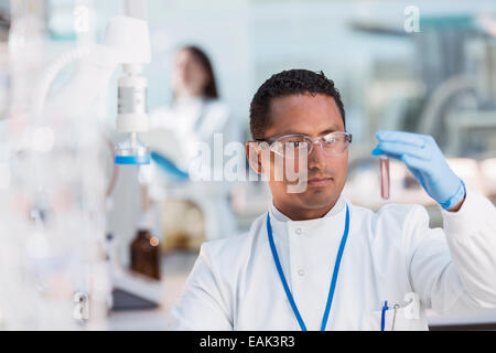 Scienziato esaminando provetta di test in laboratorio Foto Stock