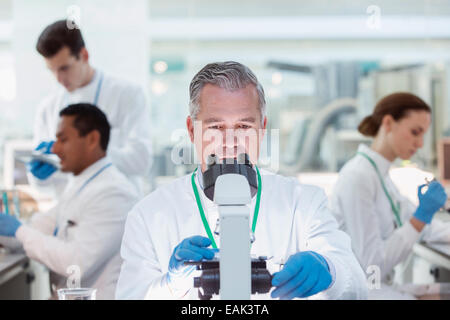 Scienziato campione esaminato al microscopio in laboratorio Foto Stock